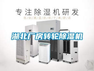 常見問題湖北廠房轉(zhuǎn)輪除濕機