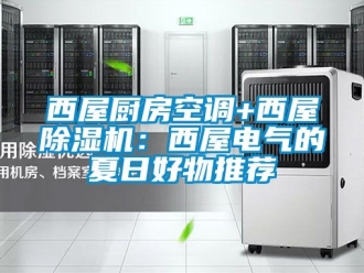 行業新聞西屋廚房空調+西屋除濕機：西屋電氣的夏日好物推薦