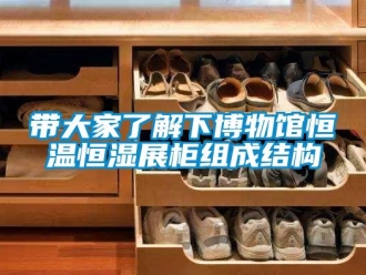 知識百科帶大家了解下博物館恒溫恒濕展柜組成結構
