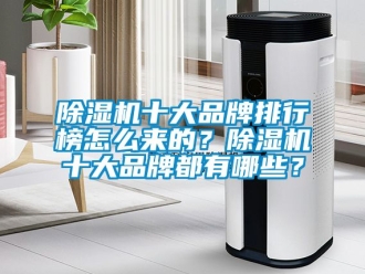 企業新聞除濕機十大品牌排行榜怎么來的？除濕機十大品牌都有哪些？