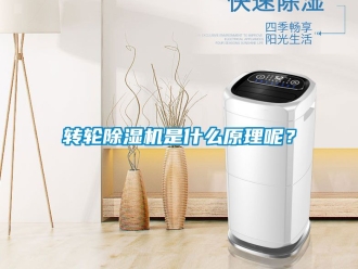 常見問題轉(zhuǎn)輪除濕機(jī)是什么原理呢？