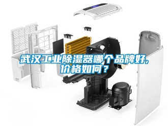 行業(yè)新聞武漢工業(yè)除濕器哪個(gè)品牌好,價(jià)格如何？