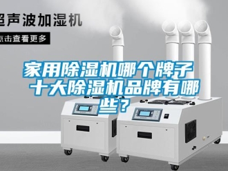 企業新聞家用除濕機哪個牌子 十大除濕機品牌有哪些？