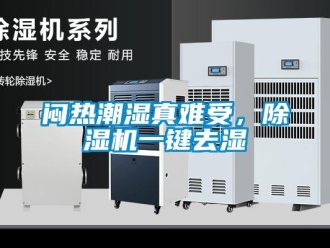 行業新聞悶熱潮濕真難受，除濕機一鍵去濕