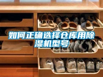 企業新聞如何正確選擇倉庫用除濕機型號