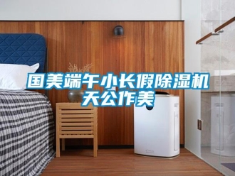 行業新聞國美端午小長假除濕機天公作美