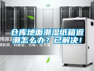 企業新聞倉庫地面潮濕紙箱返潮怎么辦？已解決！