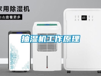 企業(yè)新聞抽濕機(jī)工作原理