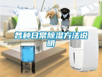 企業新聞各種日常除濕方法說明