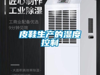 行業新聞皮鞋生產的濕度控制