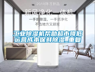 常見問題工業除濕機幫助超市降低運營成本保鮮除濕_重復