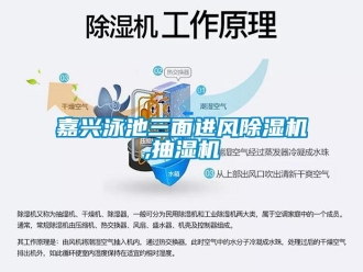 行業新聞嘉興泳池三面進風除濕機,抽濕機