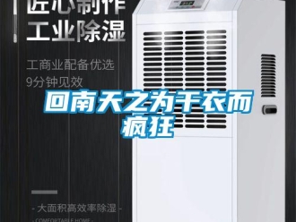 行業新聞回南天之為干衣而瘋狂