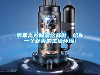 知識百科雨季高效除濕這樣做，給你一個舒爽的生活環境！