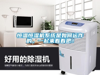 知識百科恒溫恒濕機系統是如何運作的，一起來看看吧！