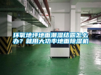 行業新聞環氧地坪地面潮濕結露怎么辦？就用大功率地面除濕機