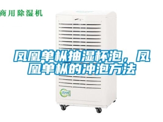 企業新聞鳳凰單樅抽濕杯泡，鳳凰單樅的沖泡方法