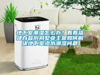企業(yè)新聞地下室潮濕怎么辦？看看福建百督府別墅業(yè)主是如何解決地下室滲水潮濕問(wèn)題