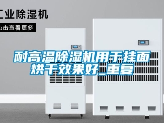 行業新聞耐高溫除濕機用于掛面烘干效果好_重復