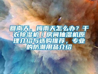 行業新聞回南天、梅雨天怎么辦？干衣除濕機／房間抽濕機原理介紹與選購推薦，專業的防潮用品介紹