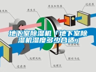 行業新聞地下室除濕機「地下室除濕機濕度多少合適」