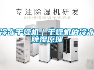 行業(yè)新聞冷凍干燥機｜干燥機的冷凍除濕原理
