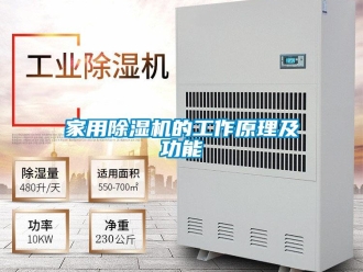 行業新聞家用除濕機的工作原理及功能