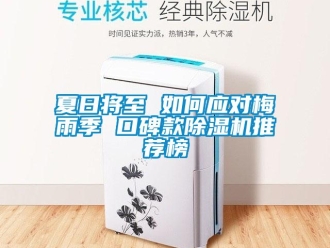 行業新聞夏日將至 如何應對梅雨季 口碑款除濕機推薦榜