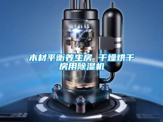 行業新聞木材平衡養生房 干燥烘干房用除濕機