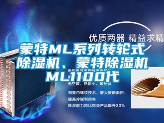 常見問(wèn)題蒙特ML系列轉(zhuǎn)輪式除濕機(jī)、蒙特除濕機(jī)ML1100代