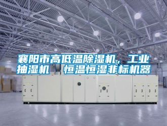 常見問題襄陽市高低溫除濕機，工業(yè)抽濕機  恒溫恒濕非標(biāo)機器