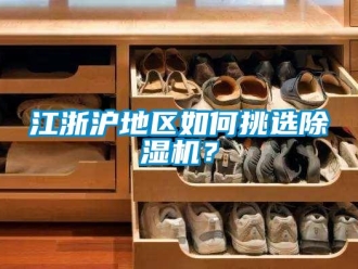 常見問題江浙滬地區如何挑選除濕機？