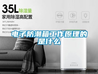 常見問題電子防潮箱工作原理的是什么