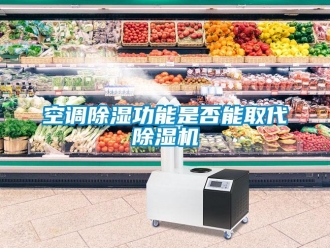 行業新聞空調除濕功能是否能取代除濕機