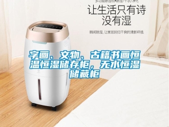 知識(shí)百科字畫、文物、古籍書畫恒溫恒濕儲(chǔ)存柜，無水恒濕儲(chǔ)藏柜