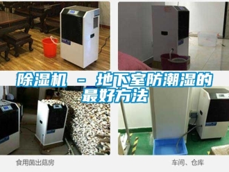 企業新聞除濕機 - 地下室防潮濕的最好方法