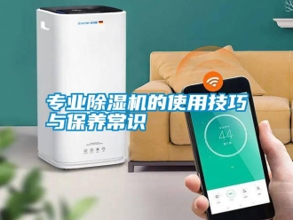 知識(shí)百科專業(yè)除濕機(jī)的使用技巧與保養(yǎng)常識(shí)