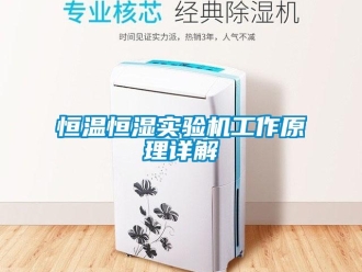 知識百科恒溫恒濕實驗機(jī)工作原理詳解