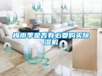 行業新聞梅雨季是否有必要購買除濕機