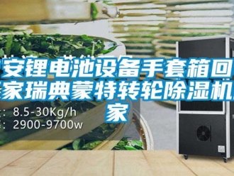 企業新聞吉安鋰電池設備手套箱回收廠家瑞典蒙特轉輪除濕機廠家