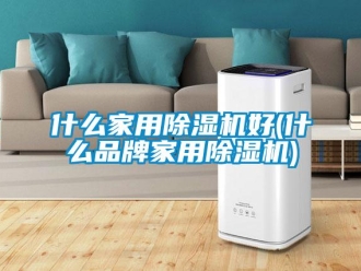 企業(yè)新聞什么家用除濕機(jī)好(什么品牌家用除濕機(jī))