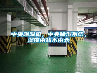 知識百科中央除濕機，中央除濕系統，濕度由我不由天
