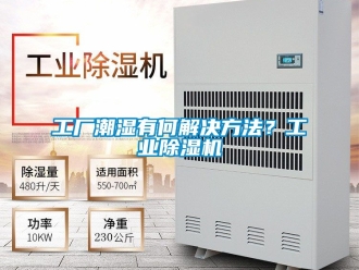 常見問題工廠潮濕有何解決方法？工業除濕機