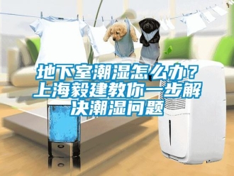 企業(yè)新聞地下室潮濕怎么辦？上海毅建教你一步解決潮濕問(wèn)題
