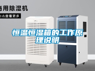 知識百科恒溫恒濕箱的工作原理說明