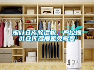 知識百科煙葉倉庫除濕機，嚴控煙葉倉庫濕度避免霉變