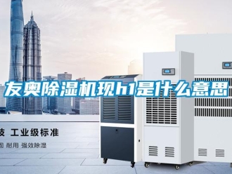行業新聞友奧除濕機現h1是什么意思