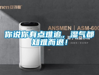 行業(yè)新聞你說(shuō)你有點(diǎn)難追，濕氣都知難而退！