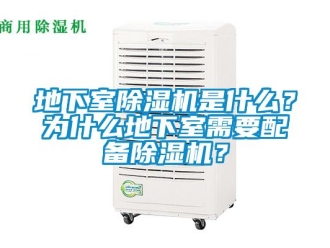 行業(yè)新聞地下室除濕機(jī)是什么？為什么地下室需要配備除濕機(jī)？