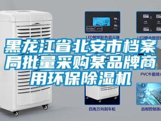 行業(yè)新聞黑龍江省北安市檔案局批量采購(gòu)某品牌商用環(huán)保除濕機(jī)